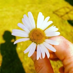 Meet your Posher, Kristi